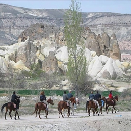 At Turları